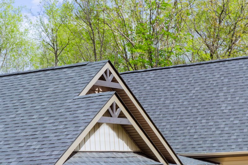 Asphalt Shingle Roof Installation Vs. Other Roofing Options